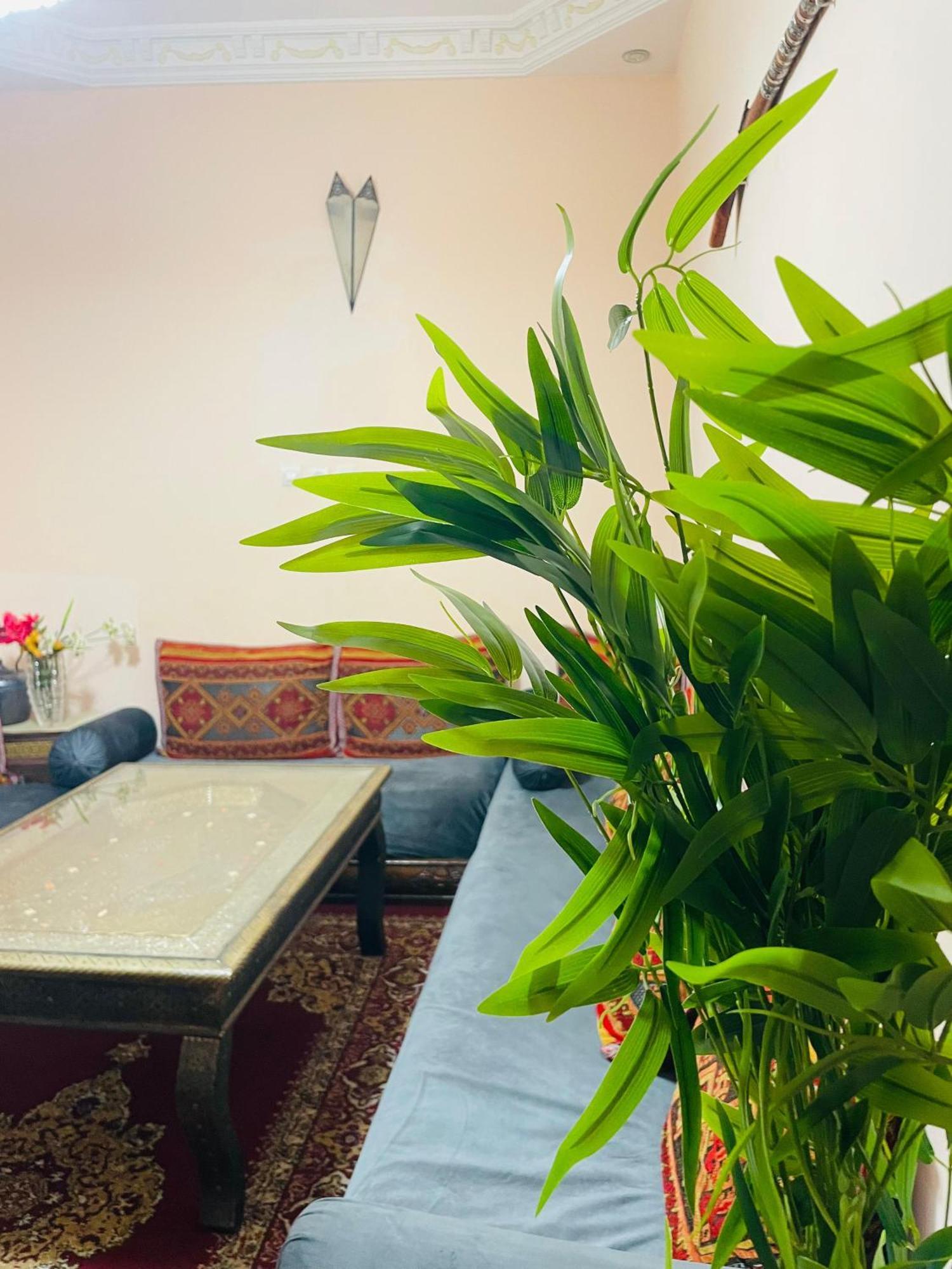 Riad Ms Holidays Terrasse Privatise Marrakech Marakeş Dış mekan fotoğraf